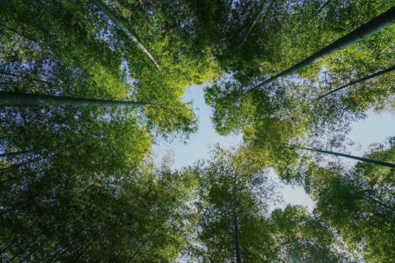 三年级数学大约的问题？游戏画面
