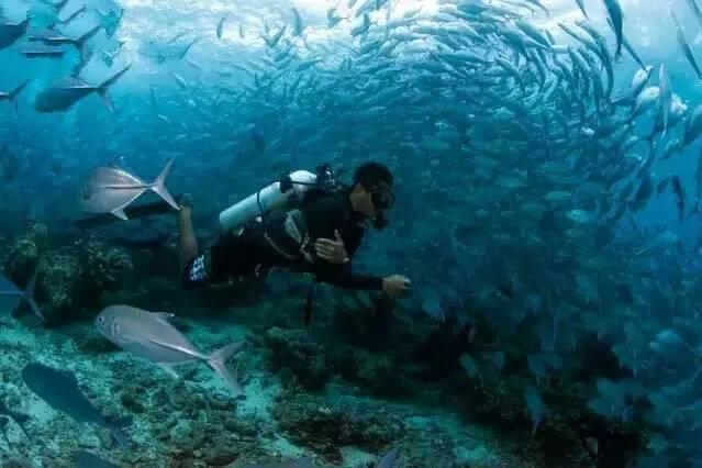 海贼船