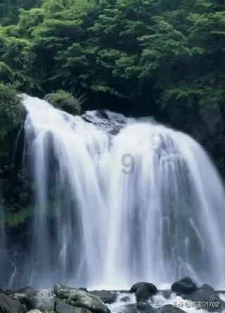 市交通运输局上线《政风行风》热线直播节目