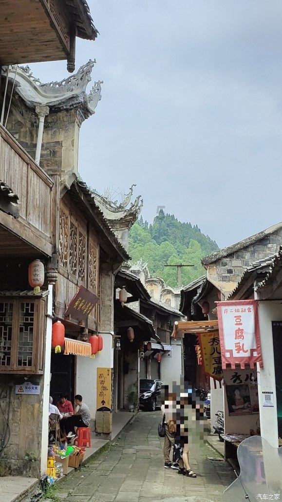 甘肃“两院”护绿西部生态  助力美丽乡村建设